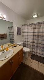 Guest Bathroom 2