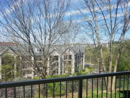 View from Porch