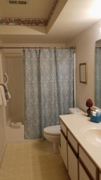 Guest Bathroom - Tub/Shower has a grab bar to help get in and out.