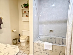 The master bathroom, conveniently connected to the bedroom, features a jetted tub and a spacious shower.