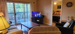 The Living Room has a sofa sleeper, two recliners, an electric fireplace, and a DVD/Blu-Ray Player