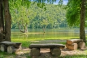 Take a seat on the bench and soak in the picturesque views of Lake Taneycomo. The perfect place to relax and recharge!